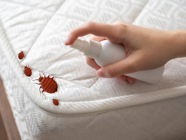 Best Pest Prevention Services  in Cassopolis, MI